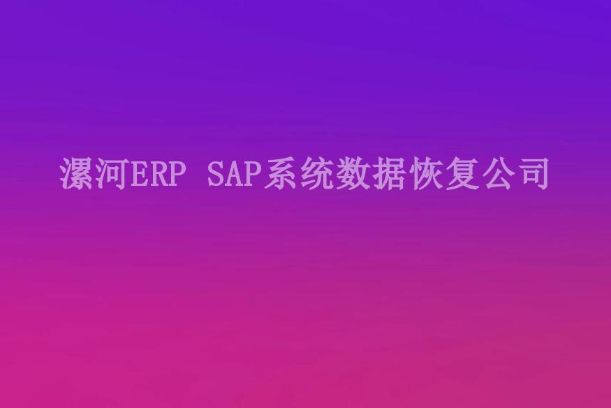 漯河ERP SAP系统数据恢复公司2