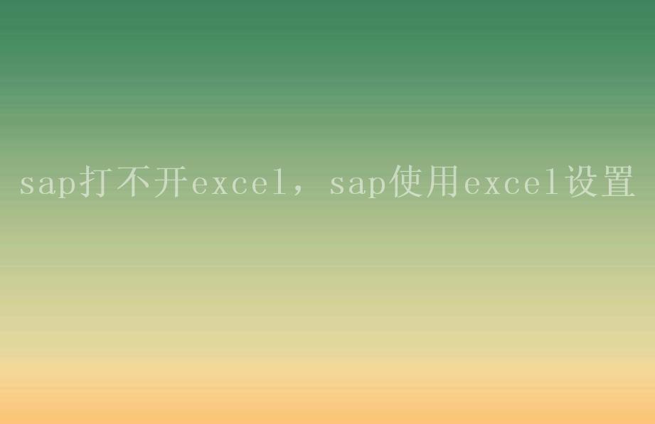 sap打不开excel，sap使用excel设置2