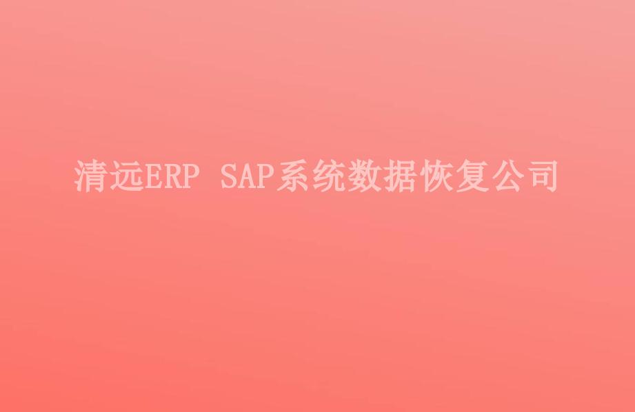 清远ERP SAP系统数据恢复公司2