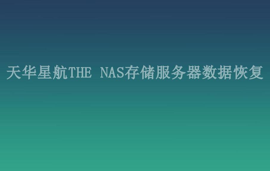 天华星航THE NAS存储服务器数据恢复1