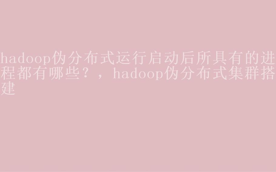 hadoop伪分布式运行启动后所具有的进程都有哪些？，hadoop伪分布式集群搭建2