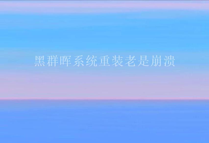 黑群晖系统重装老是崩溃2