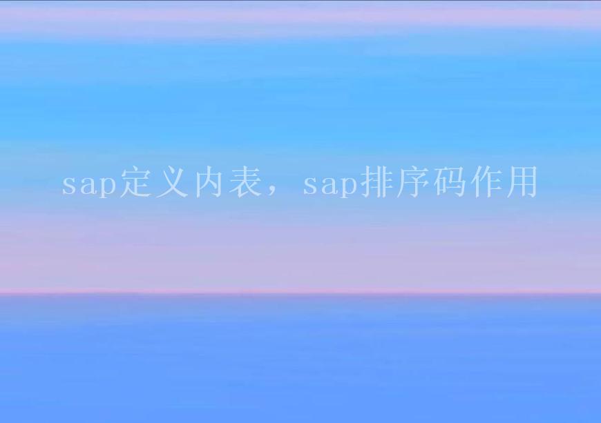 sap定义内表，sap排序码作用2