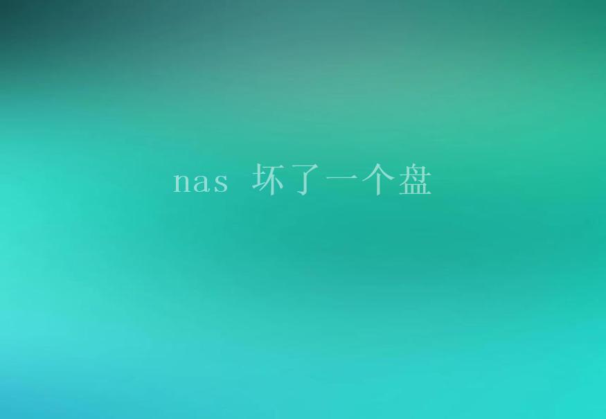 nas 坏了一个盘1