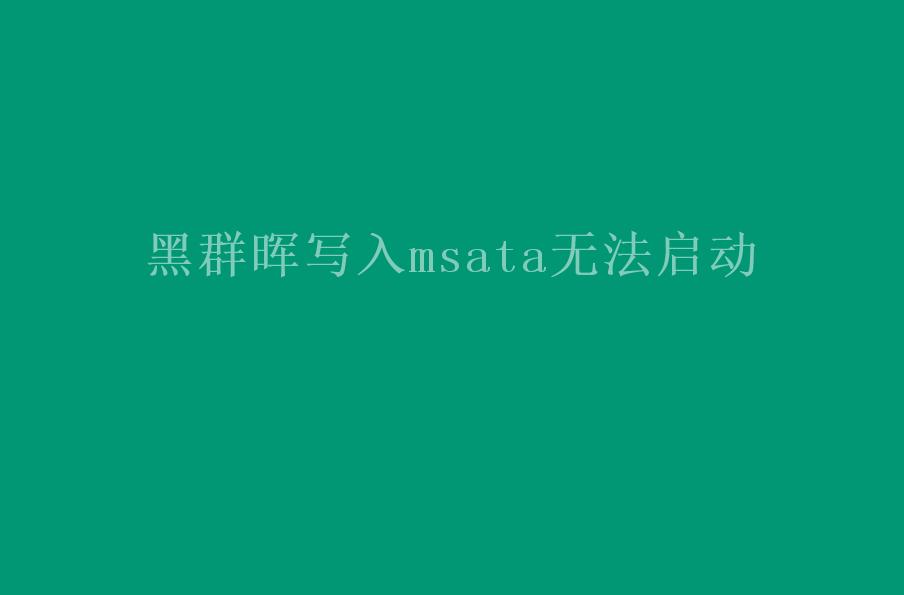 黑群晖写入msata无法启动2