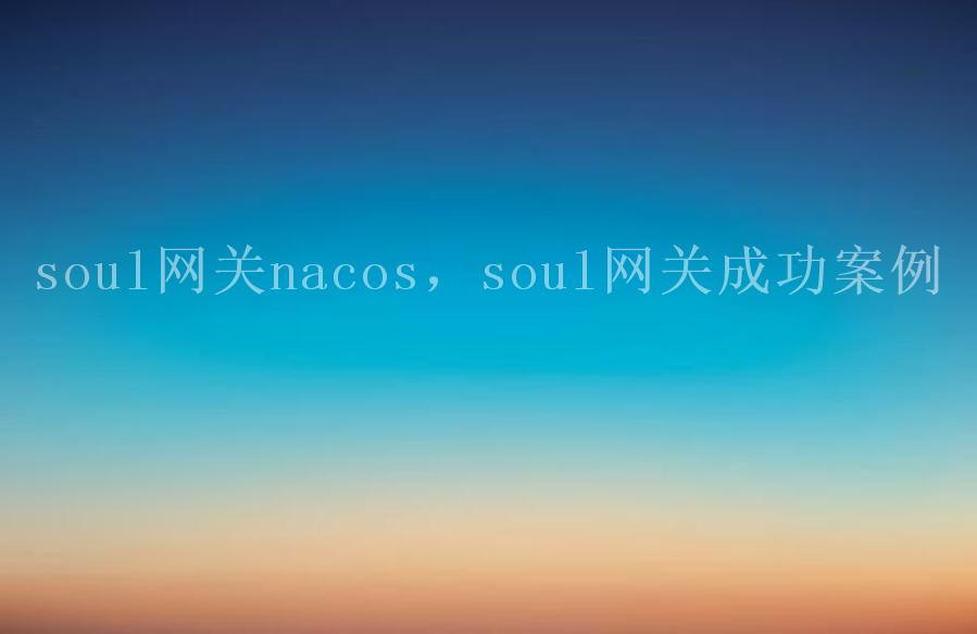 soul网关nacos，soul网关成功案例1