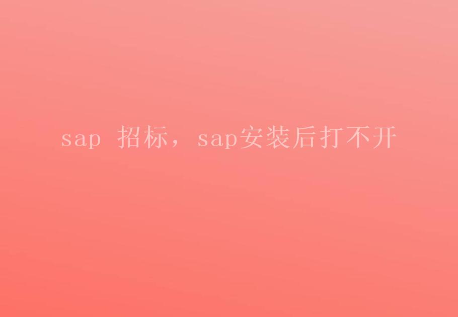 sap 招标，sap安装后打不开1