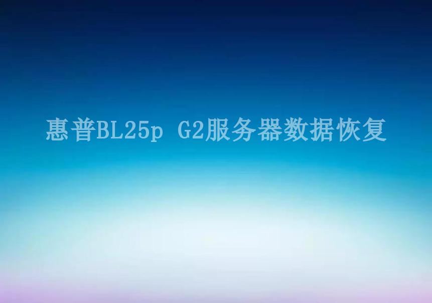 惠普BL25p G2服务器数据恢复2
