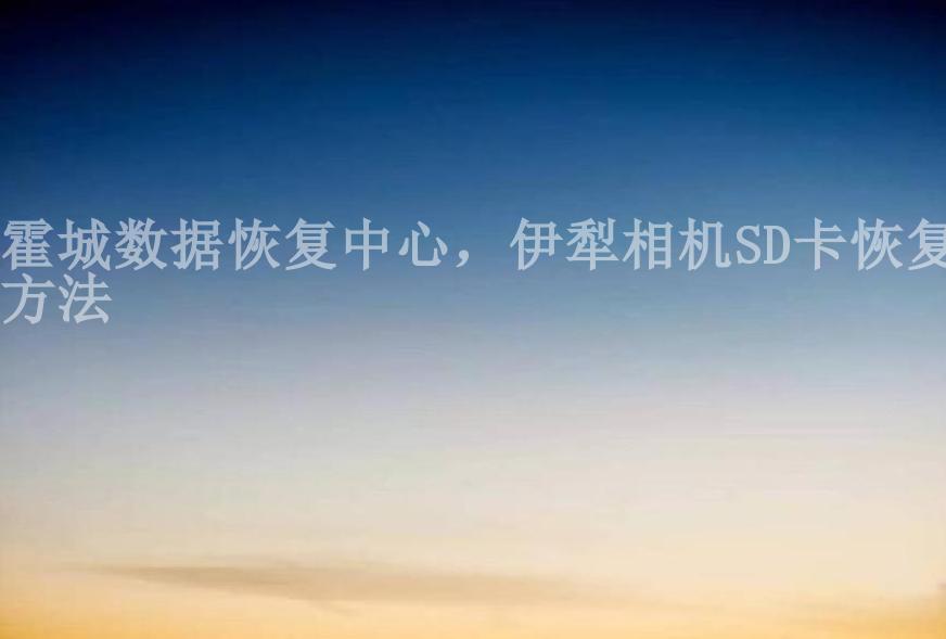 霍城数据恢复中心，伊犁相机SD卡恢复方法2