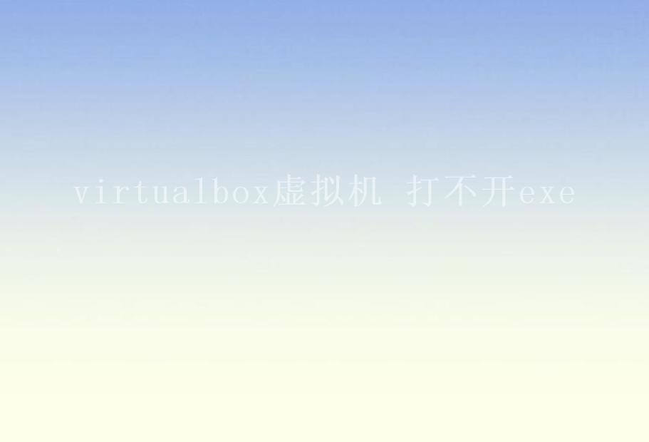virtualbox虚拟机 打不开exe1