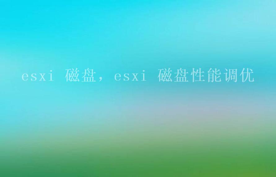 esxi 磁盘，esxi 磁盘性能调优1