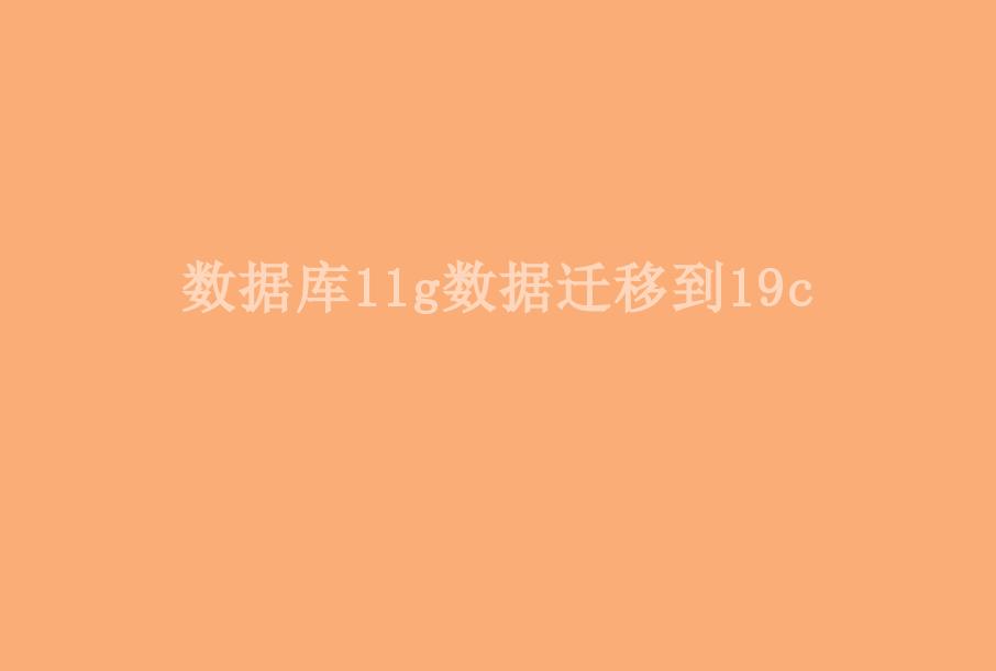 数据库11g数据迁移到19c1