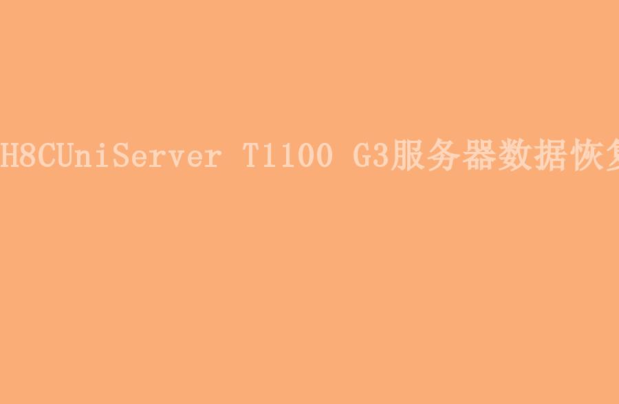 H8CUniServer T1100 G3服务器数据恢复1