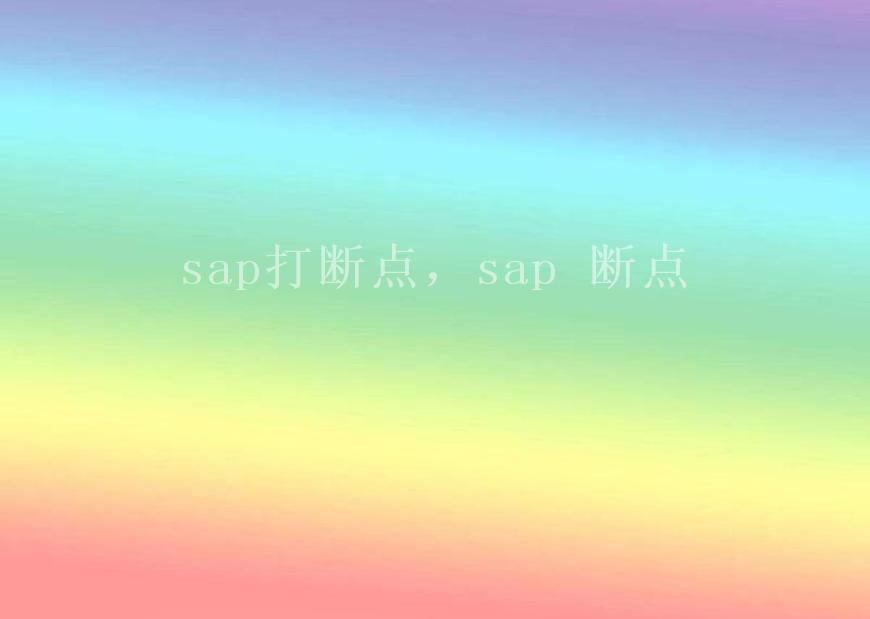 sap打断点，sap 断点1