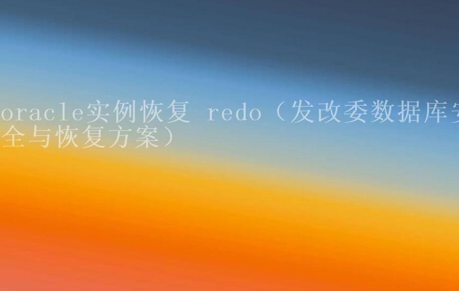 oracle实例恢复 redo（发改委数据库安全与恢复方案）2