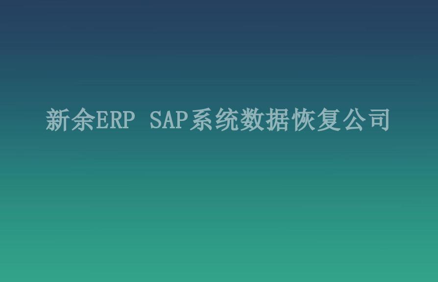 新余ERP SAP系统数据恢复公司1