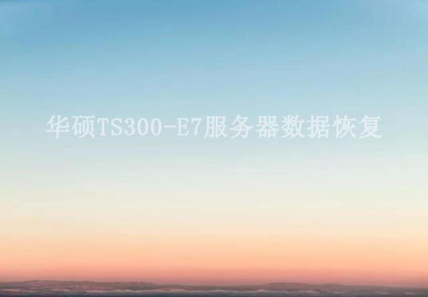 华硕TS300-E7服务器数据恢复1
