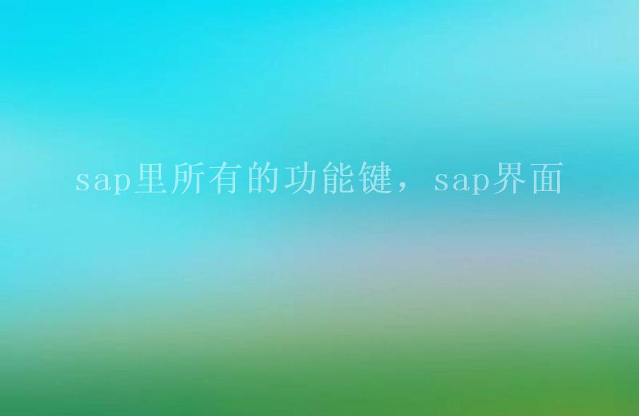 sap里所有的功能键，sap界面1