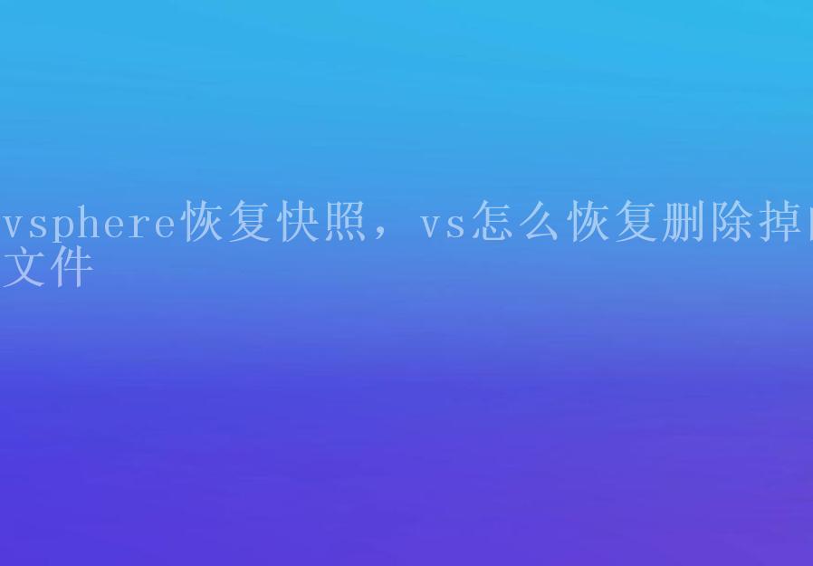 vsphere恢复快照，vs怎么恢复删除掉的文件2