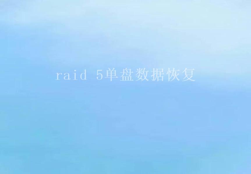 raid 5单盘数据恢复1