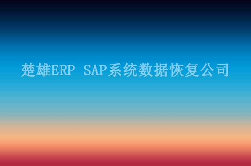 楚雄ERP SAP系统数据恢复公司2