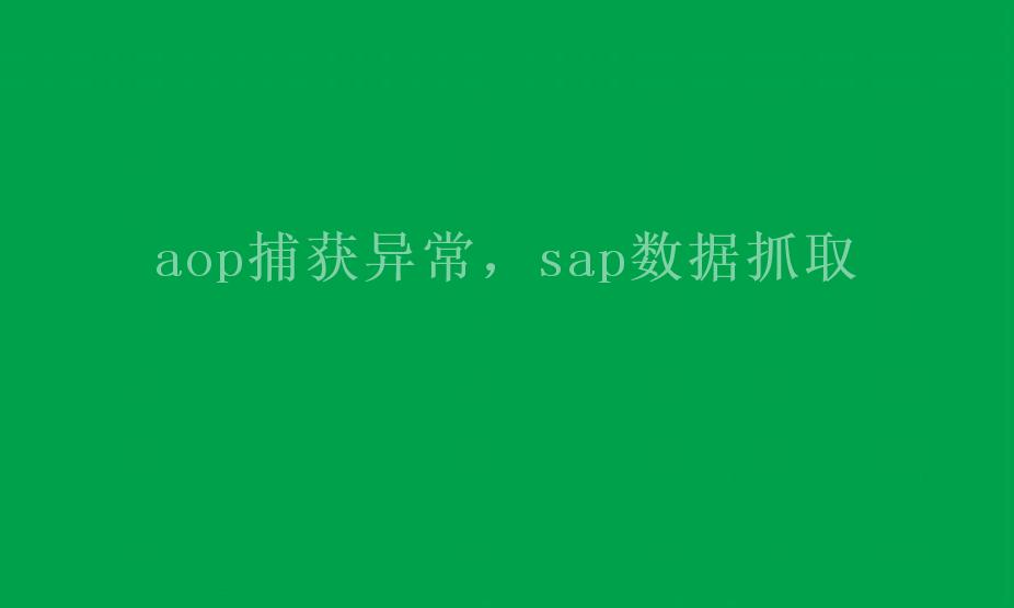 aop捕获异常，sap数据抓取2