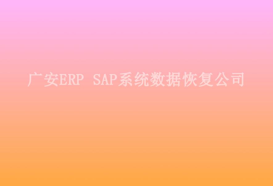 广安ERP SAP系统数据恢复公司1