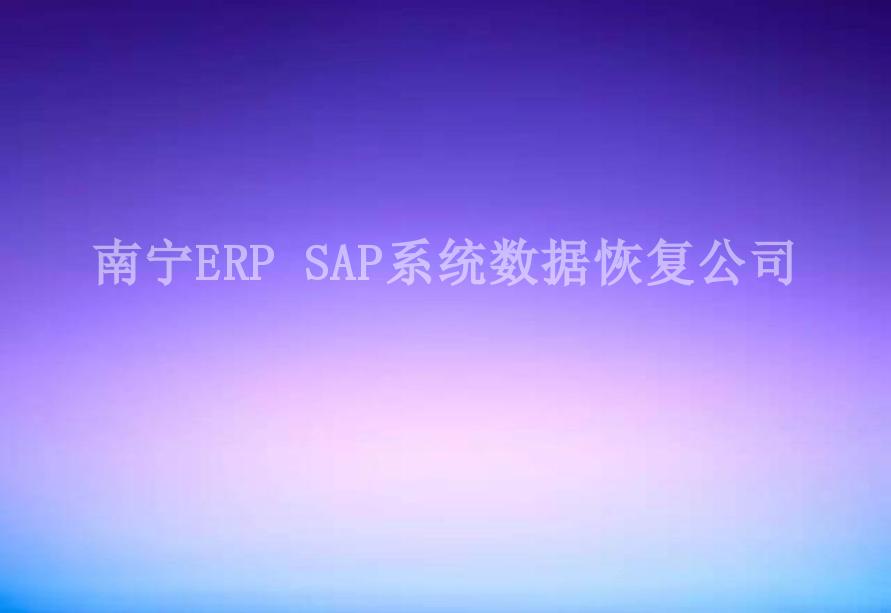 南宁ERP SAP系统数据恢复公司2