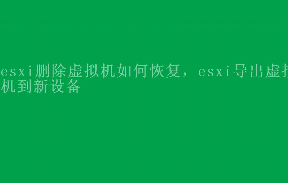 esxi删除虚拟机如何恢复，esxi导出虚拟机到新设备2