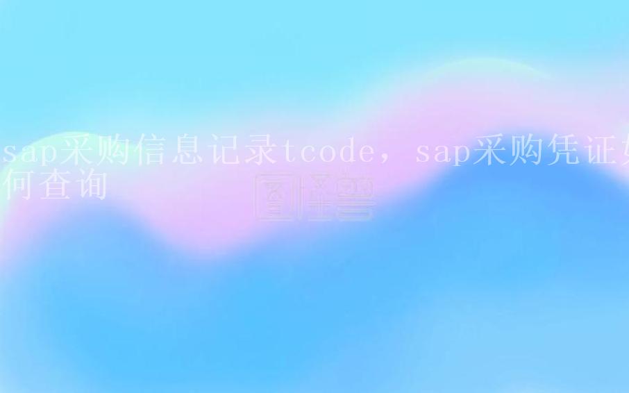 sap采购信息记录tcode，sap采购凭证如何查询2