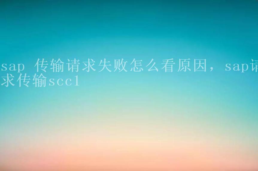 sap 传输请求失败怎么看原因，sap请求传输scc12