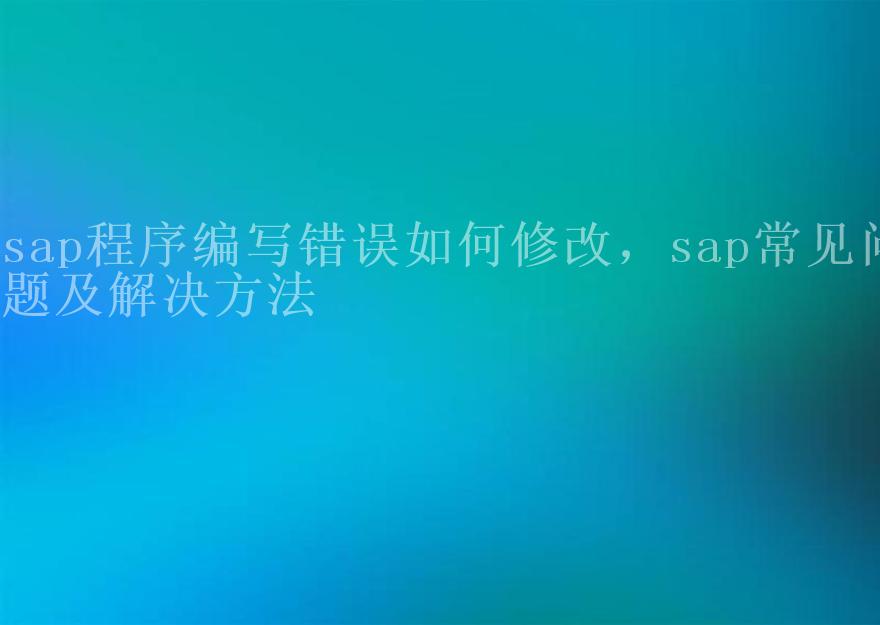 sap程序编写错误如何修改，sap常见问题及解决方法2