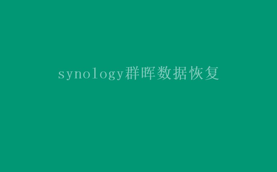 synology群晖数据恢复2