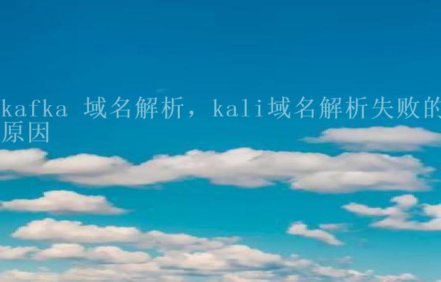 kafka 域名解析，kali域名解析失败的原因1