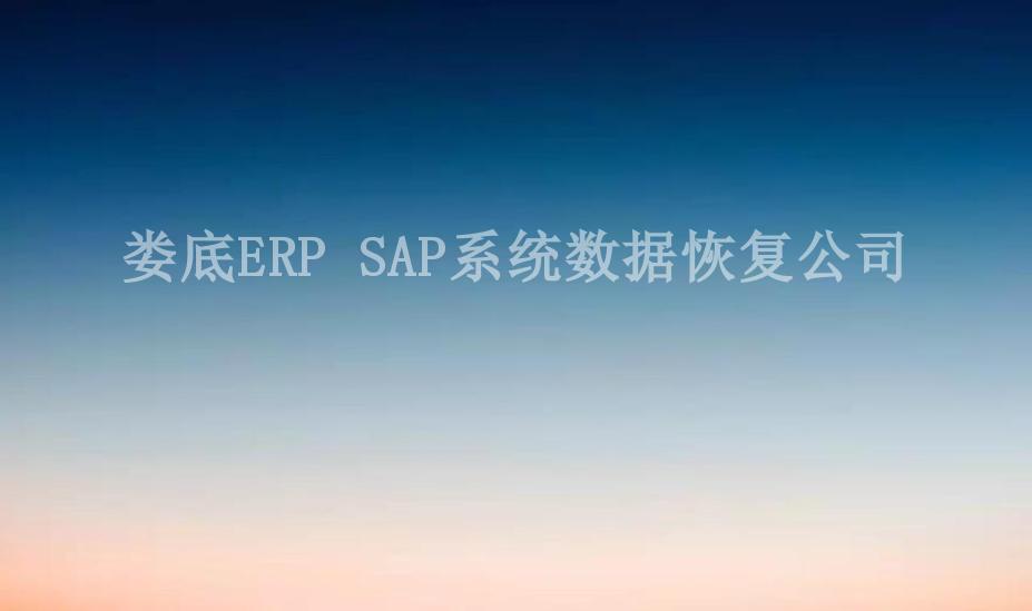 娄底ERP SAP系统数据恢复公司2