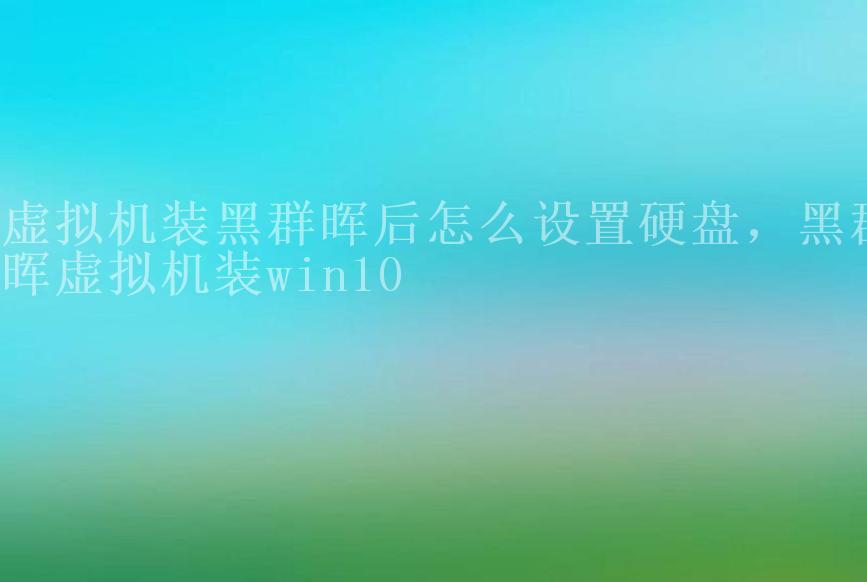 虚拟机装黑群晖后怎么设置硬盘，黑群晖虚拟机装win102