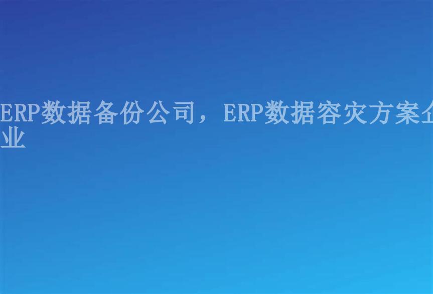 ERP数据备份公司，ERP数据容灾方案企业2