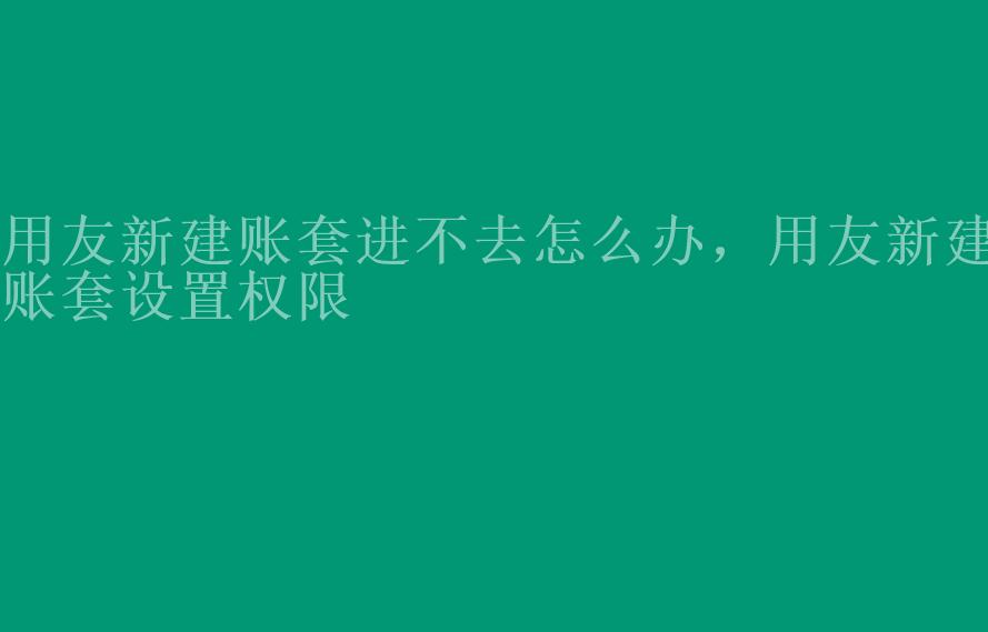 用友新建账套进不去怎么办，用友新建账套设置权限2