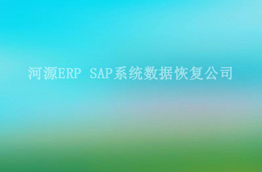 河源ERP SAP系统数据恢复公司2