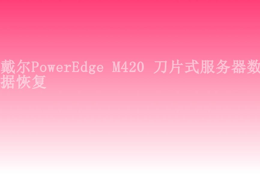 戴尔PowerEdge M420 刀片式服务器数据恢复2