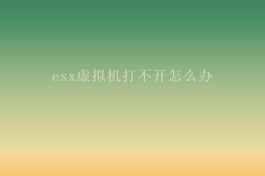 esx虚拟机打不开怎么办2