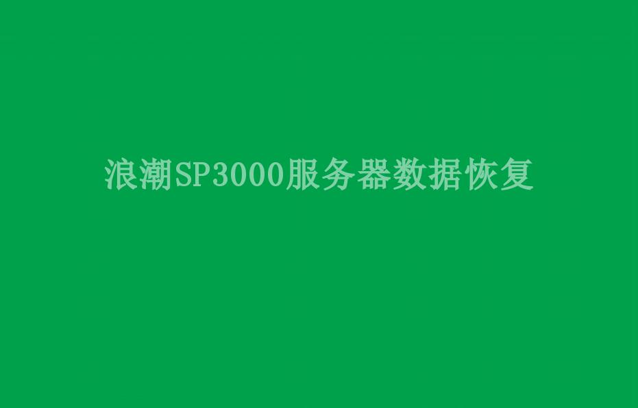 浪潮SP3000服务器数据恢复1