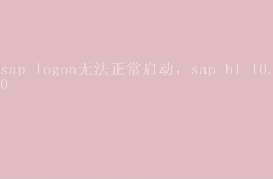 sap logon无法正常启动，sap b1 10.02