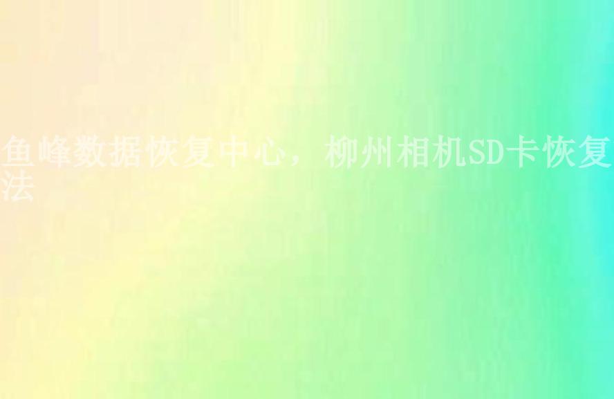 鱼峰数据恢复中心，柳州相机SD卡恢复方法2