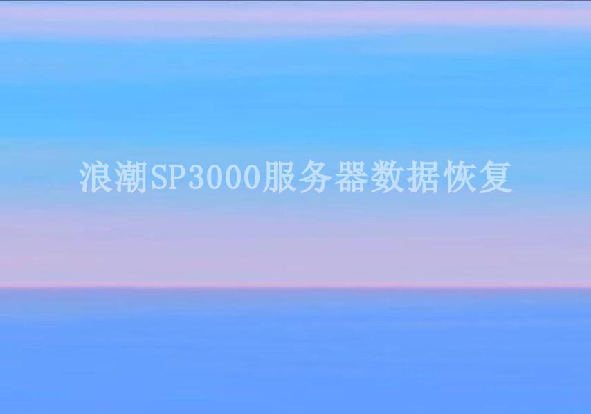 浪潮SP3000服务器数据恢复2