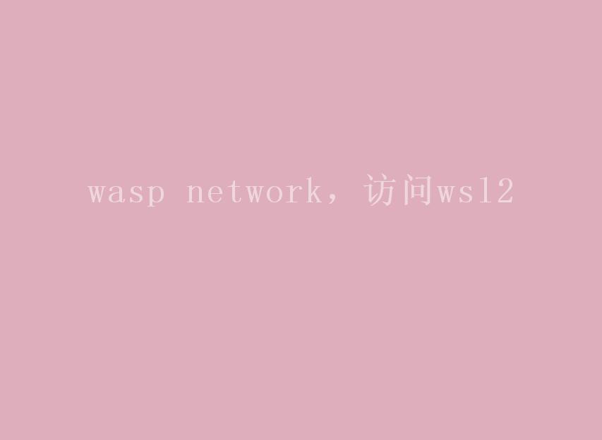 wasp network，访问wsl22