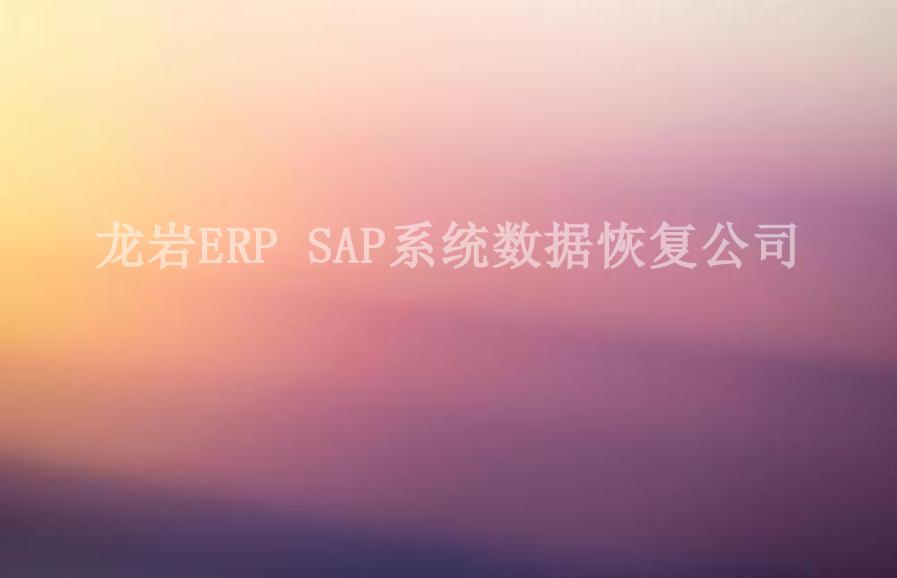 龙岩ERP SAP系统数据恢复公司1