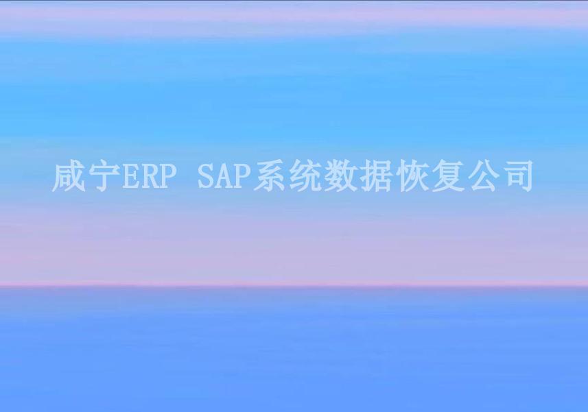 咸宁ERP SAP系统数据恢复公司2