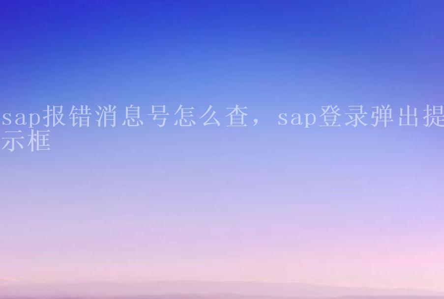 sap报错消息号怎么查，sap登录弹出提示框2