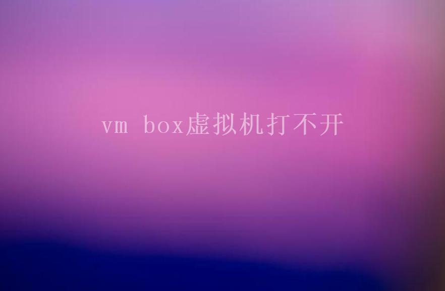 vm box虚拟机打不开1